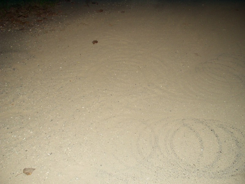Auto 021.jpg